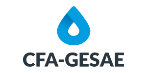 Read more about the article CFA – GESAE